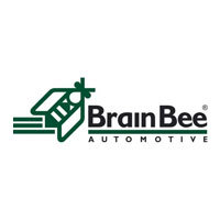 Brain Bee Automotive